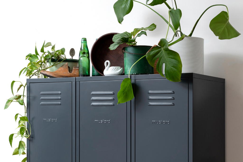 Three Slate Skinny Lockers lined up next to each other with pot plants on top.