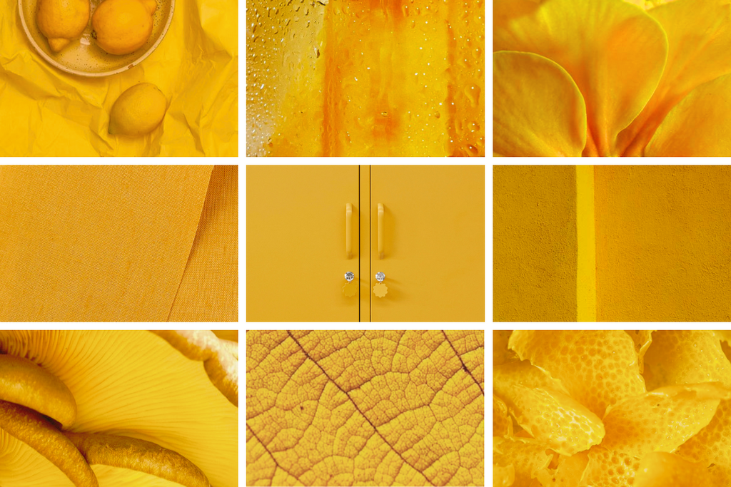 A grid of 9 rectangular images displays close ups of different textures in the same golden, Mustard yellow.