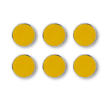 The Buttons in Mustard