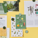 The Buttons in Sage