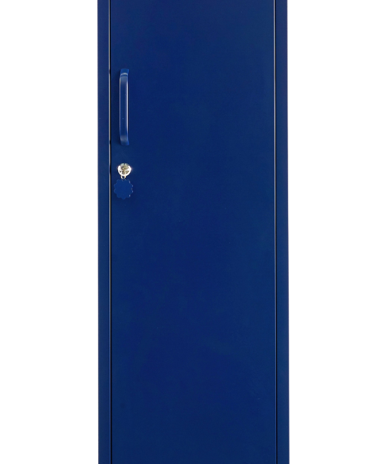 Die Skinny in Marineblau