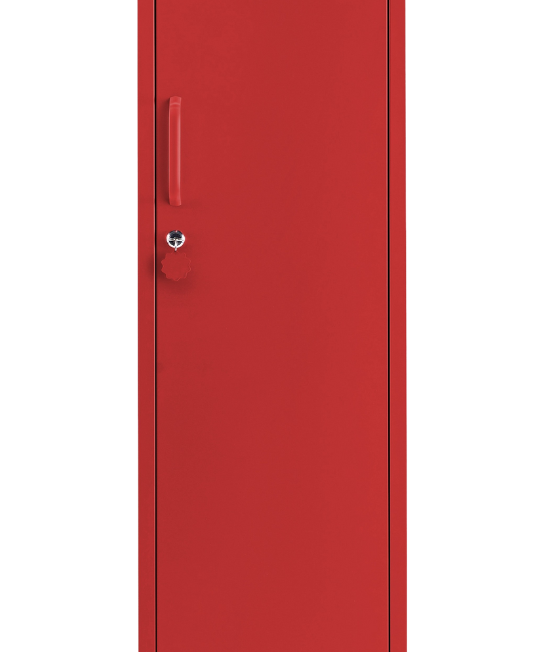 The Skinny in Mohnblume