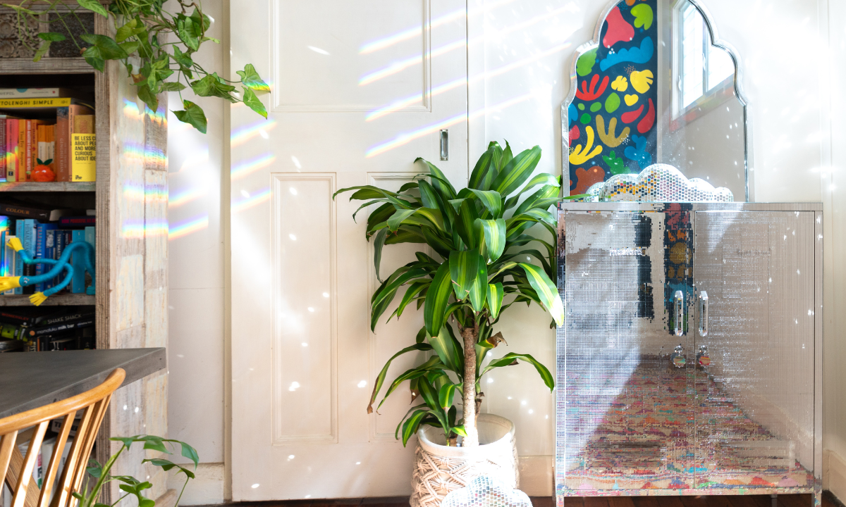 Una taquilla Midi está cubierta de cuadrados espejados, de modo que parece una bola de espejos cuadrada. Se encuentra en una habitación blanca con plantas frondosas, y hay fragmentos brillantes de luz solar que se desprenden de su reflejo.