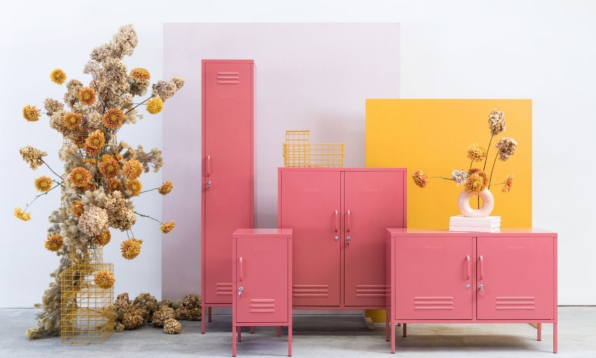 Lanzamiento de nuevos productos