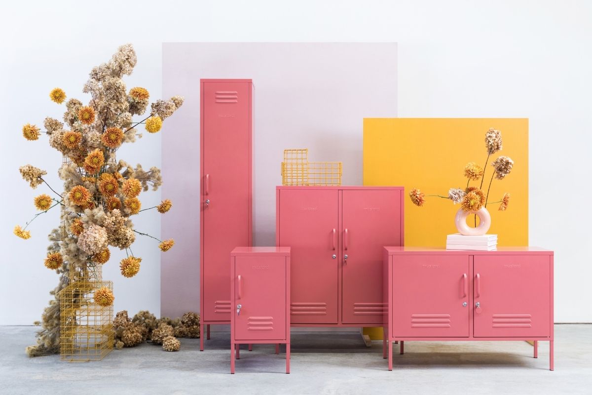 Lanzamiento de nuevos productos