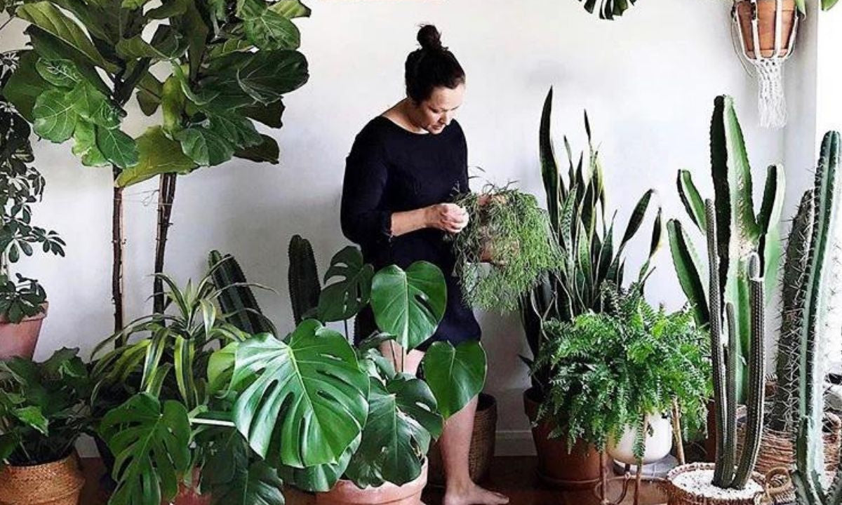 Taquillas + Plantas - con Tribe and Us