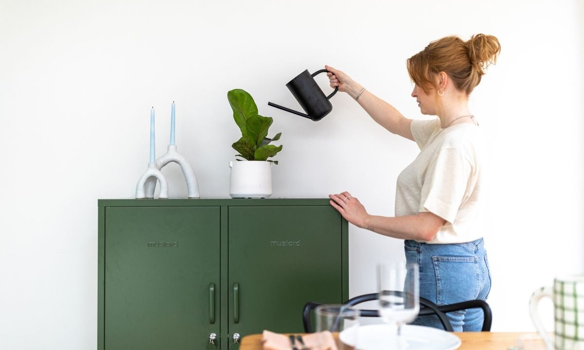 Plantas con estilo y taquillas con parche