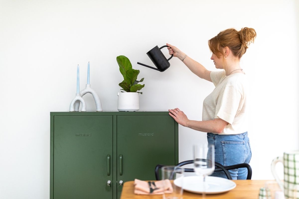 Plantas con estilo y taquillas con parche