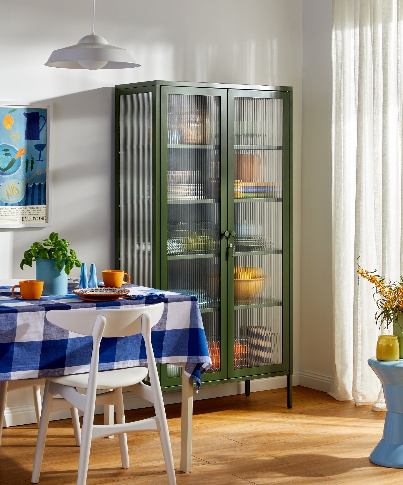 El Collector en Oliva