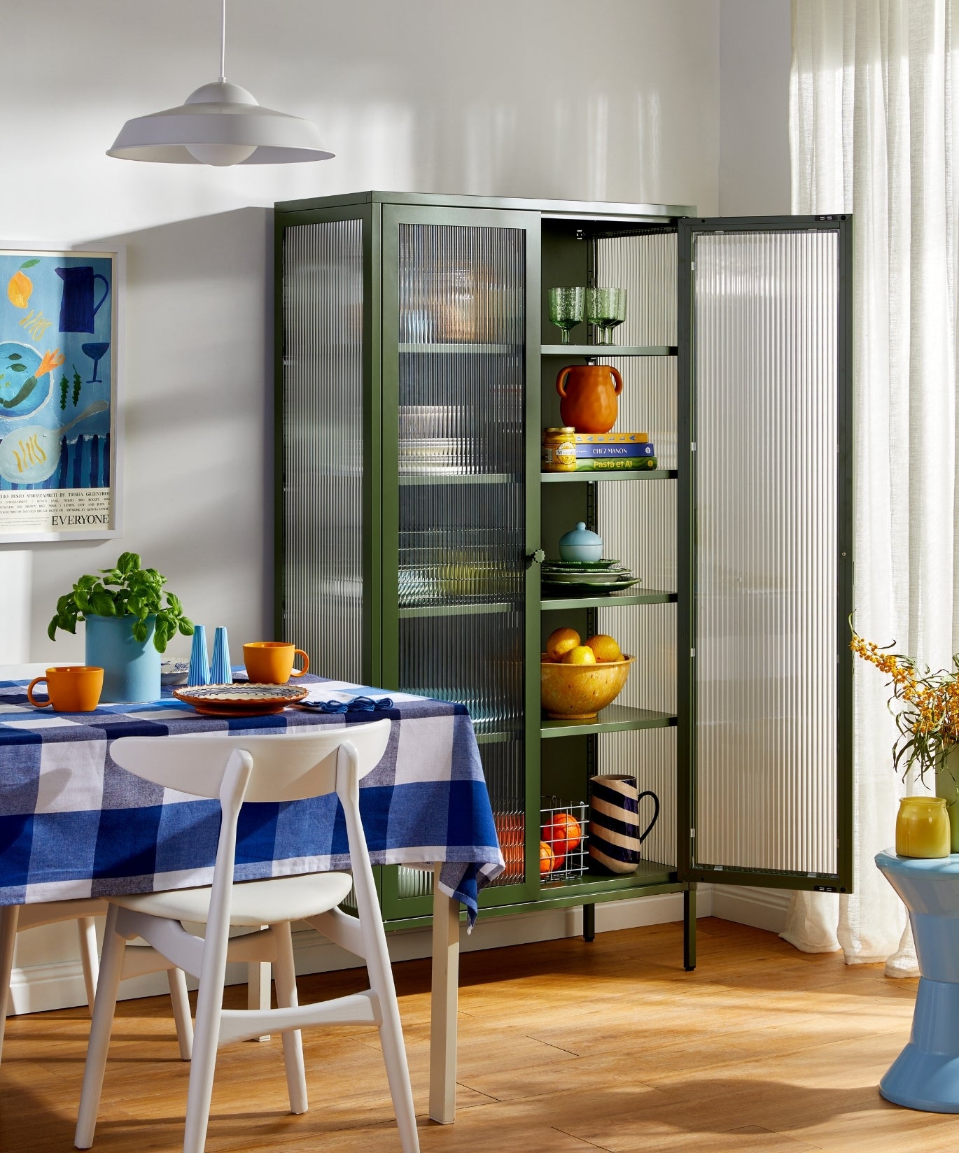 El Collector en Oliva