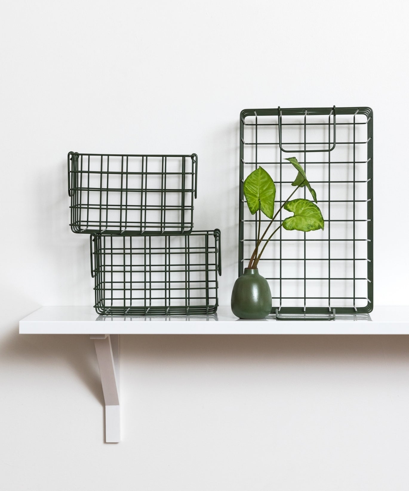 Les paniers en olive