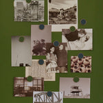 Les Buttons en olive