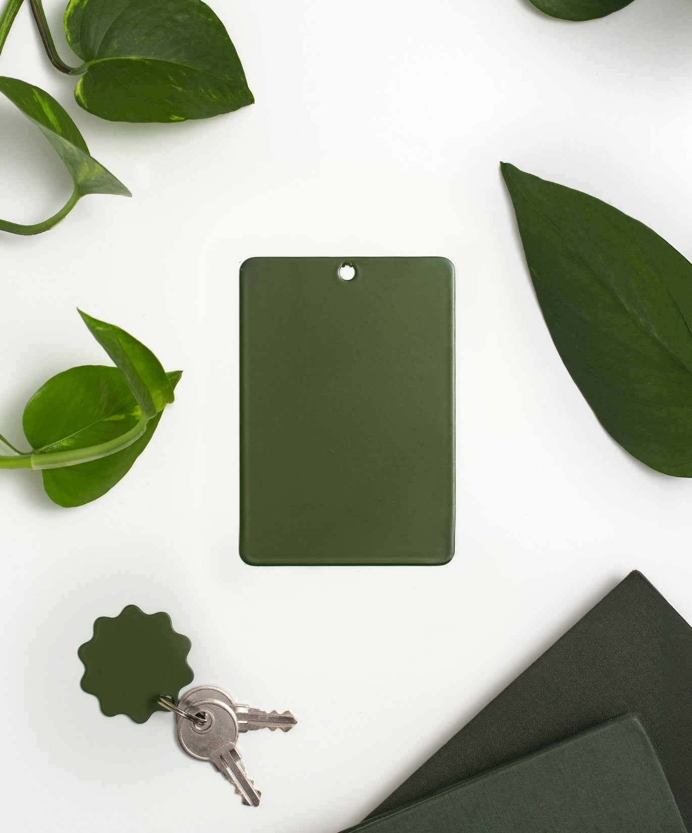 Échantillon de couleur en Olive