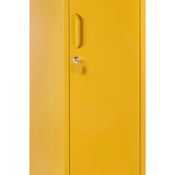 Le Skinny en Mustard