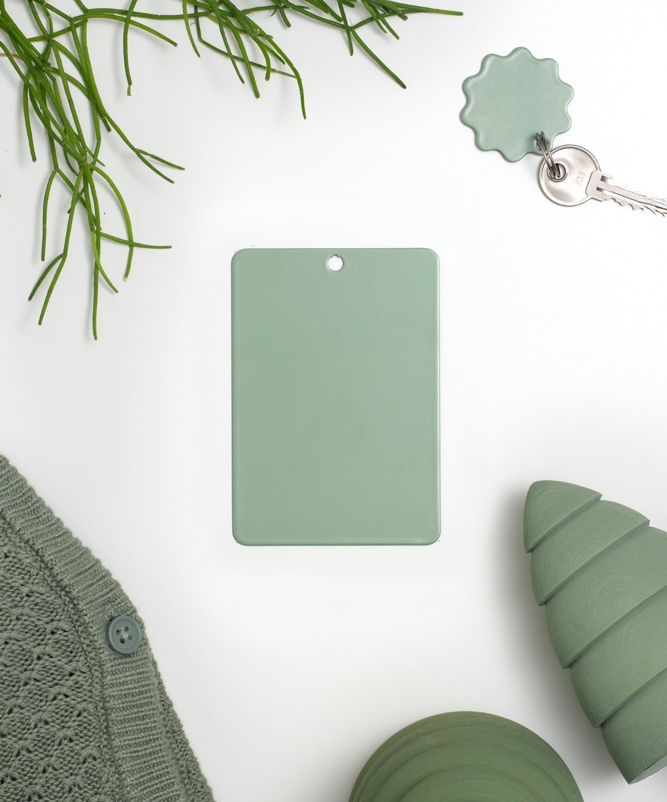 Campioni di colore in Salvia