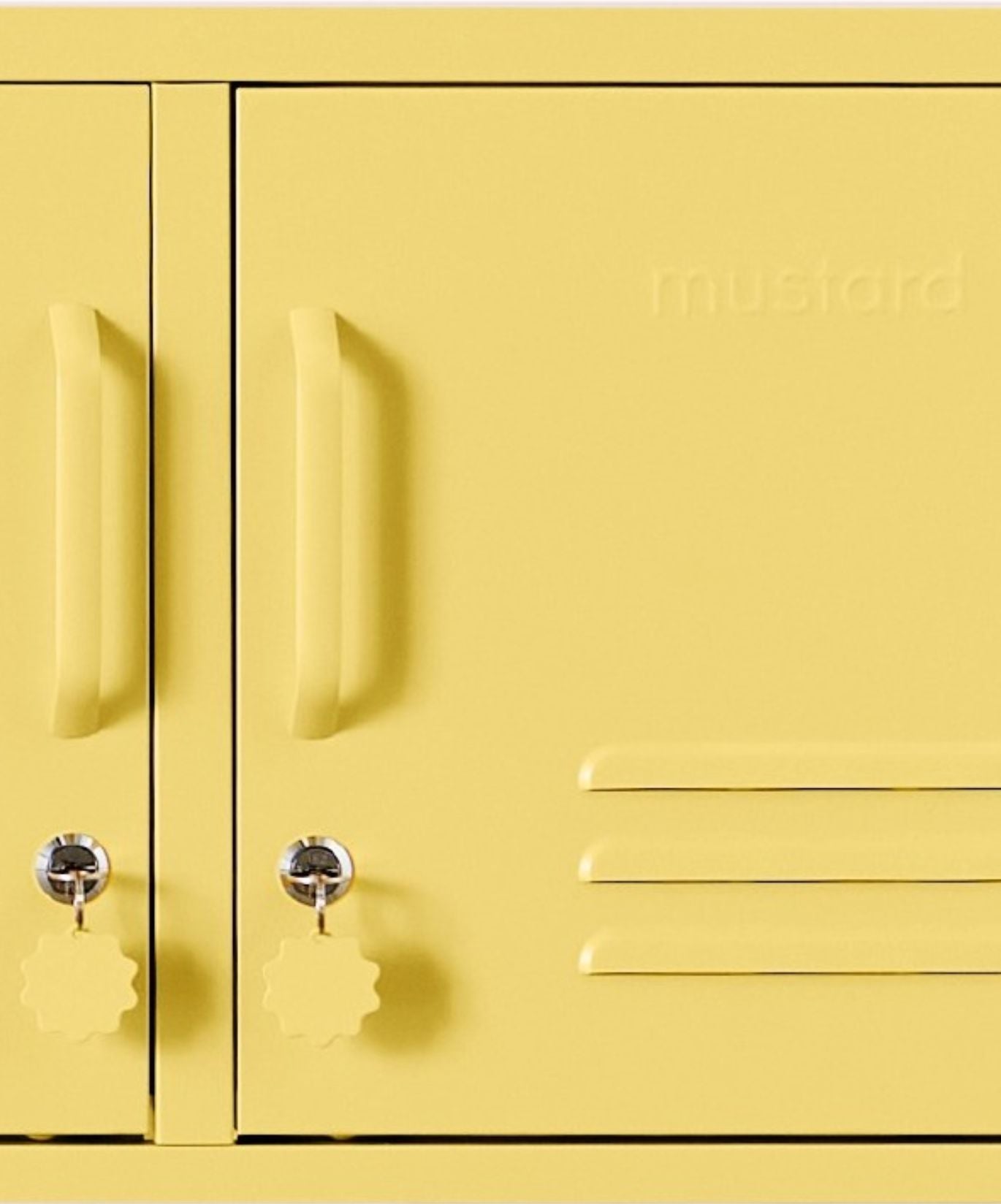 Lo Standard del burro