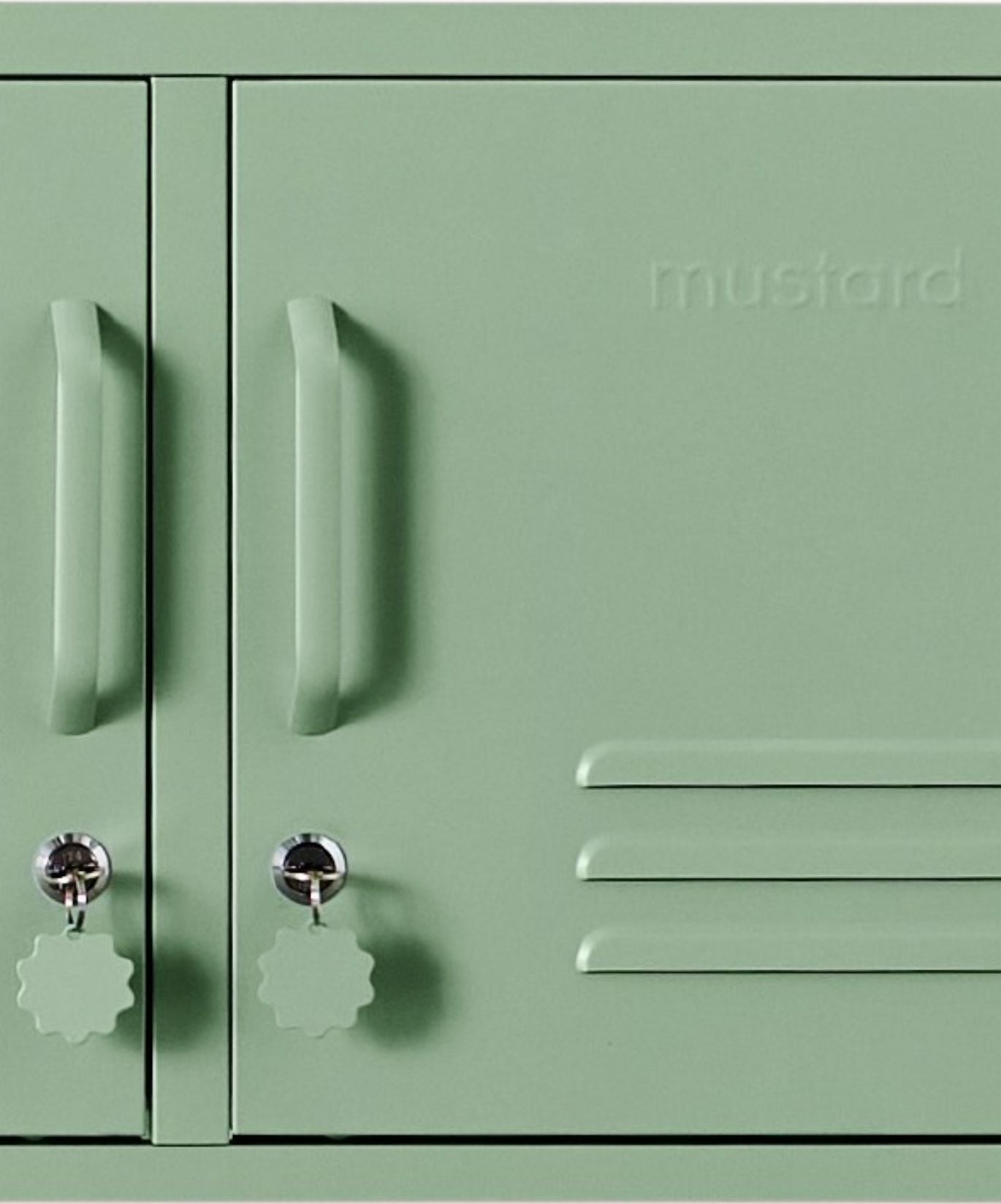 Lo Standard in Salvia